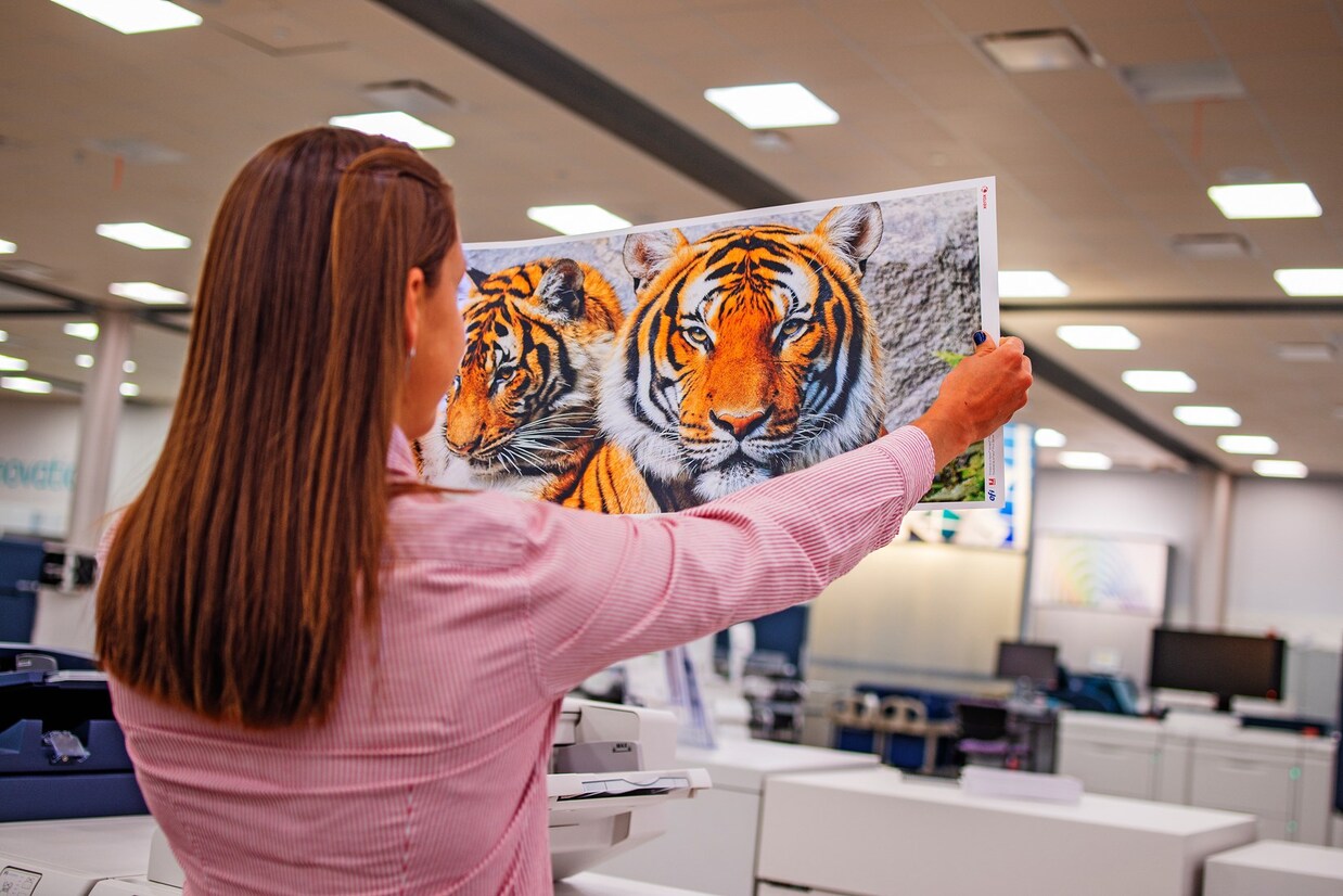 woman observing a tiger painting